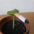 sproutdirt thumbnail