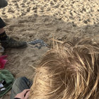 piet1234567890 thumbnail