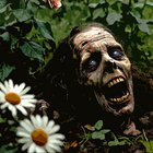 CorpseGardenAttendant thumbnail