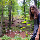 SONOBROSA thumbnail