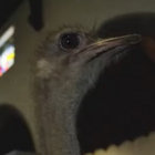 あ thumbnail