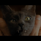 Jay-o thumbnail