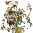 flobings thumbnail