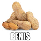sk00ty thumbnail