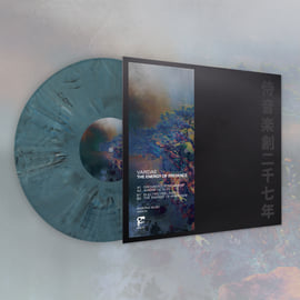 Limited Edition Marbled 12" in Stickered Kanji Sleeve [pre order], image 1