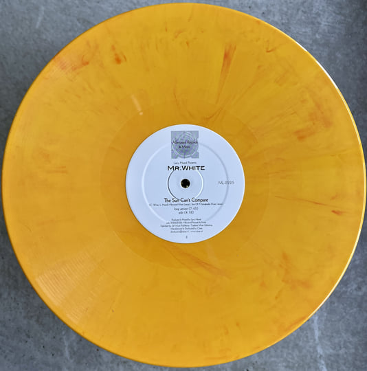 The Sun Cant Compare / You Rock Me | Mr White, Larry Heard