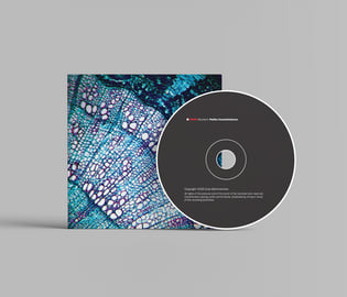 Limited Edition CD, image 1