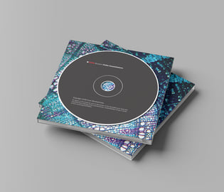 Limited Edition CD, image 3