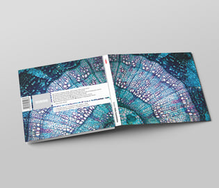 Limited Edition CD, image 4