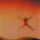 ron thumbnail