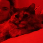morg cat thumbnail