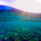 eastaustraliancurrentz thumbnail