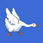 sillygooses thumbnail