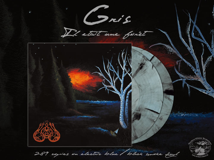 Gris - Il était une forêt... 輸入盤CD Il était une forêt | Gris