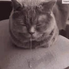 eggsntoast thumbnail