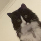 katiee1820 thumbnail
