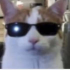 madscrow thumbnail