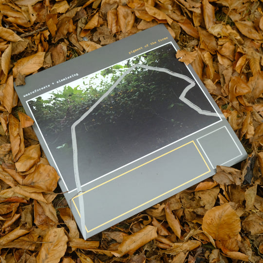 pigment of the forms | weareforests & Six Missing | Six Missing