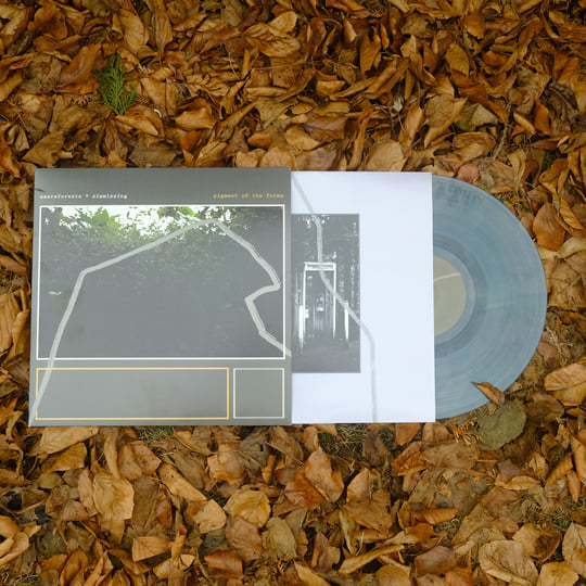 pigment of the forms | weareforests & Six Missing | Six Missing