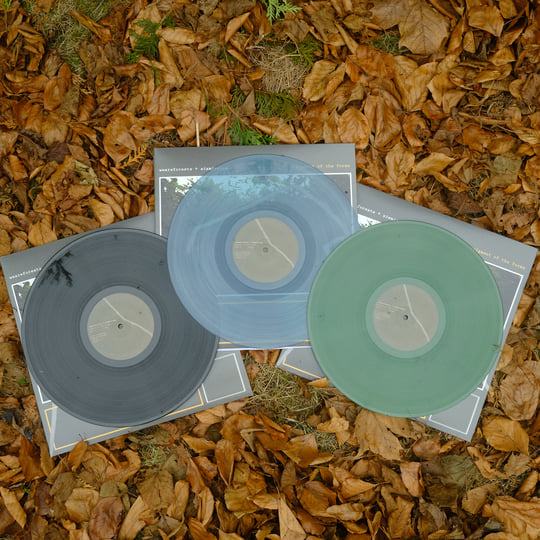 pigment of the forms | weareforests & Six Missing | Six Missing
