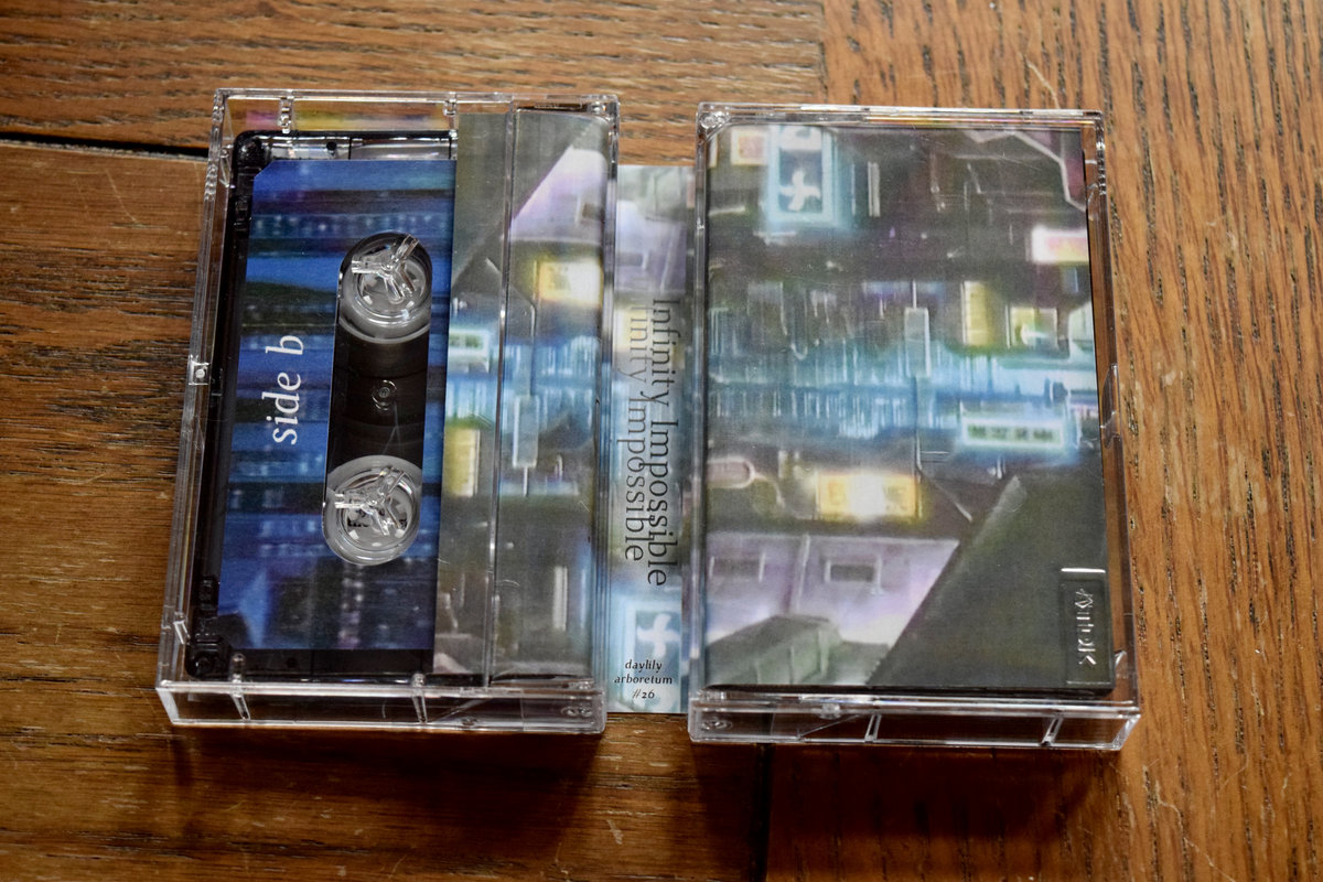 infinity impossible | IDENTICUBE | daylily arboretum