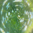 Shün thumbnail