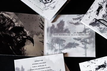 Systemic Violence CD, image 4