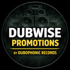 Dubwise Promotions thumbnail