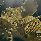 ten_possums thumbnail