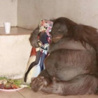 bipedal_ape thumbnail