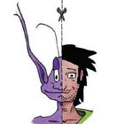 koenschouteden thumbnail