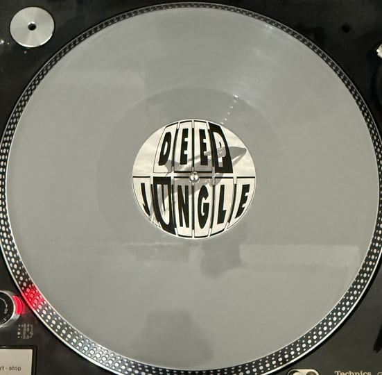 サティアグラハ PARK LILT RECORDS DAT122 Orca - Back to the Jungle / Separate Reality / Sky Hook