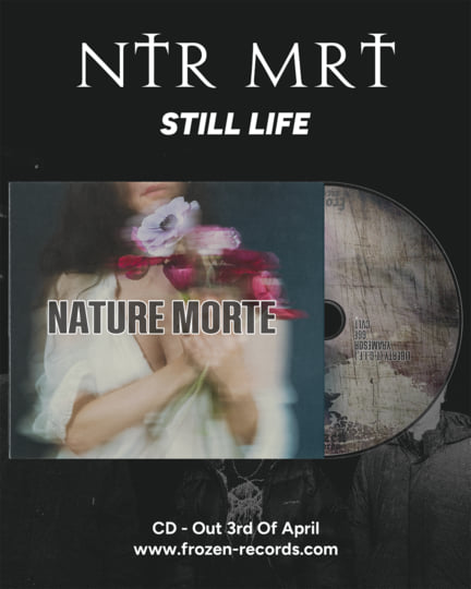 STILL LIFE | Nature Morte