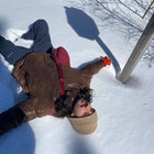 Jolistenus thumbnail