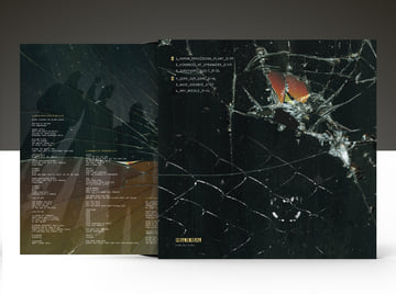 12" Black Vinyl - PREORDER, image 2