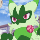 Parapass thumbnail
