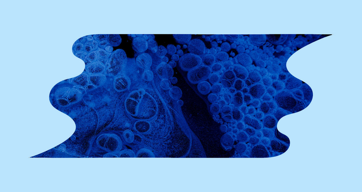 The Best Field Recordings on Bandcamp, March 2026