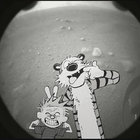 saschmit thumbnail