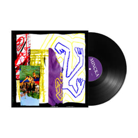 Vinyl LP - Alternate Artwork (Only 25 available on Bandcamp), image 1