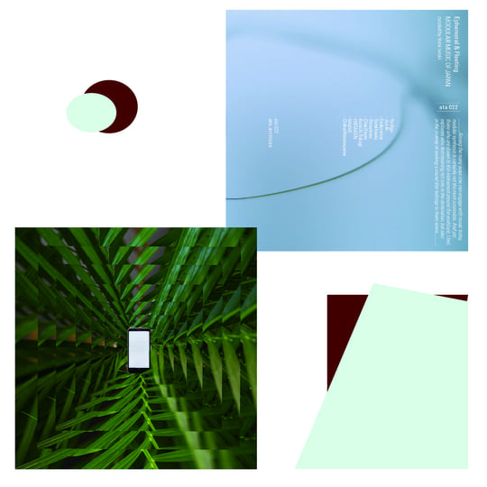 Ephemeral & Fleeting - Modular Music of Japan | Various Artists