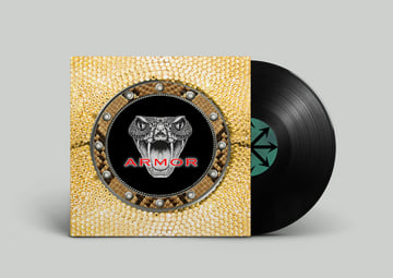 12" Vinyl, image 1