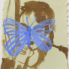 lie050917 thumbnail