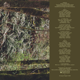 Lonely Lovin' LP, image 3