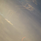 Emini  thumbnail