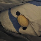 Mr. Penguin thumbnail