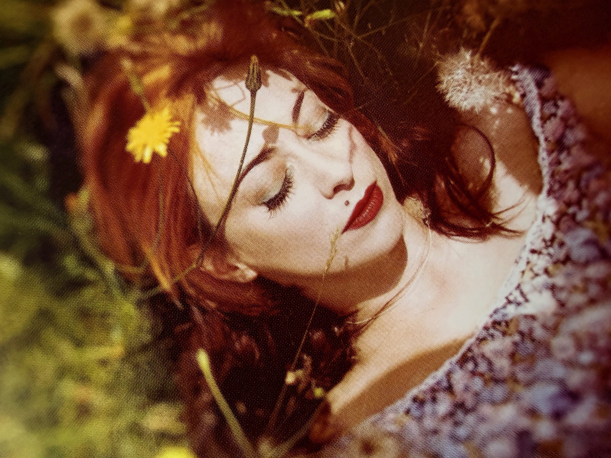 Maple Bee These Four Worlds | Maple Bee