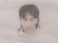 Dari Bay — Photo