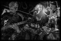 Rat King — Photo