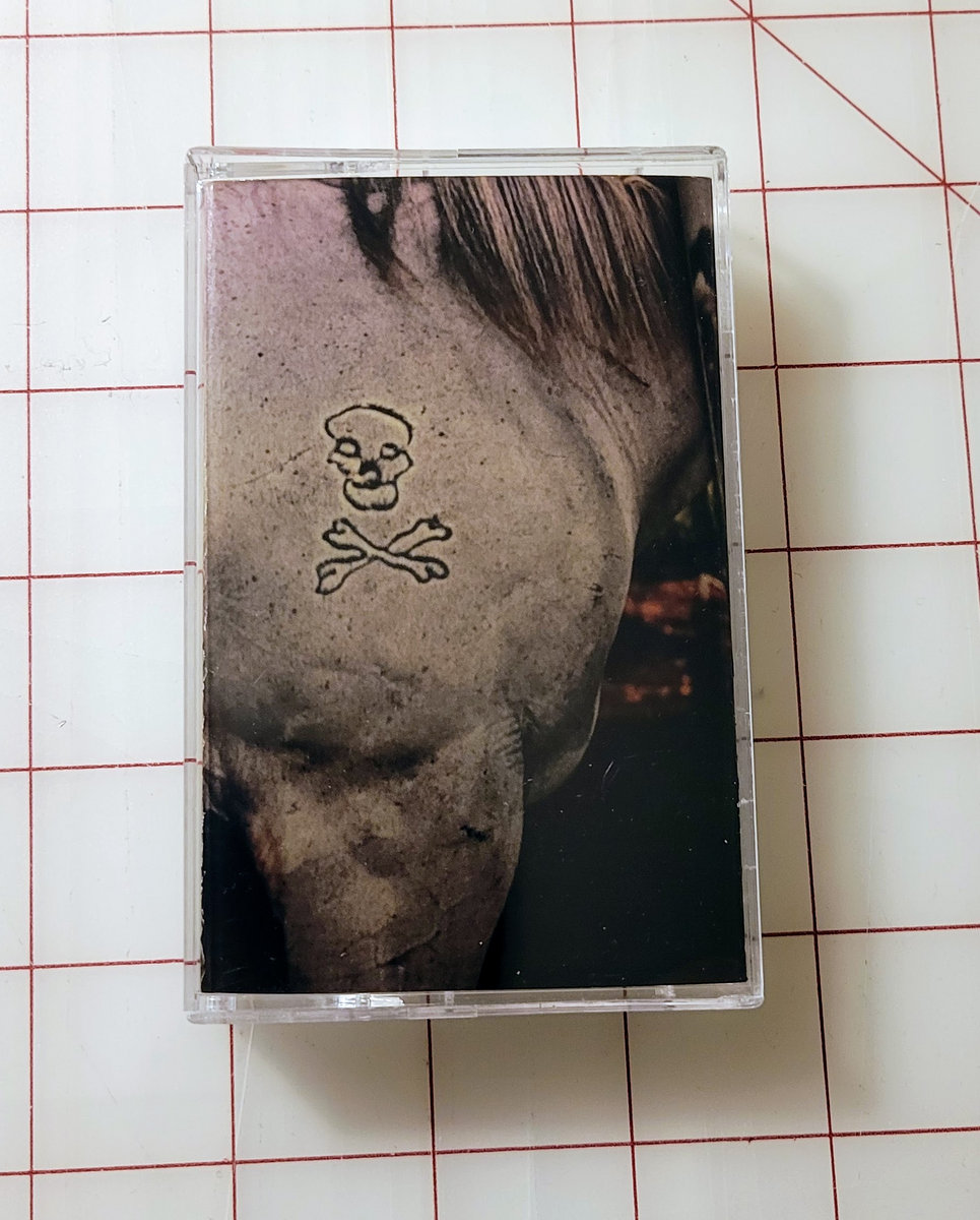 Demented FX - Demo | Salvageable Filth Records