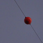 svarinci thumbnail